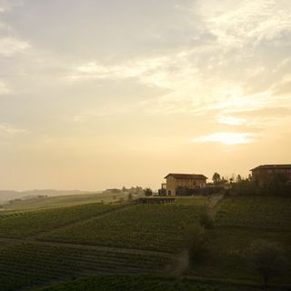 Radici ristorante in vigna - 11