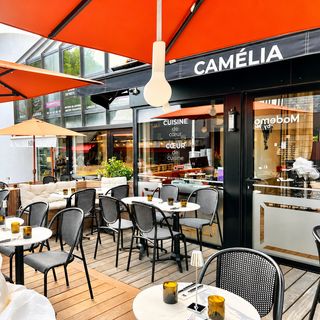 Camélia - 3