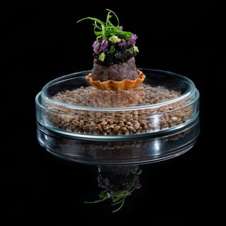 Pizarro Fine Dining - 3
