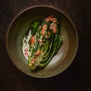 Barr - 14