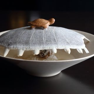 KAMINOZA - 10