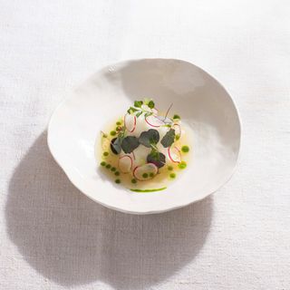 Bergergut - 11