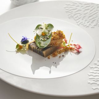 L'Oiseau Blanc - 9