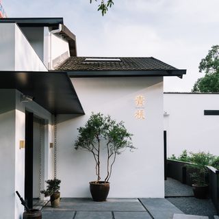 Qing Tao - 4