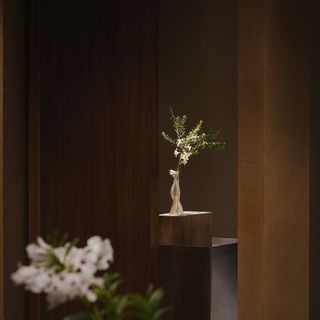 zài - 3