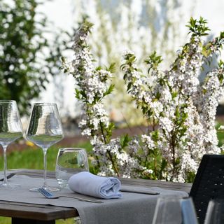 Le Cheval Blanc - 12