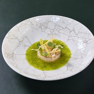 Roter Bären - 7