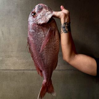 Âmago - 7