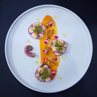 Hiély-Lucullus - 26