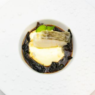 Gioia - 2