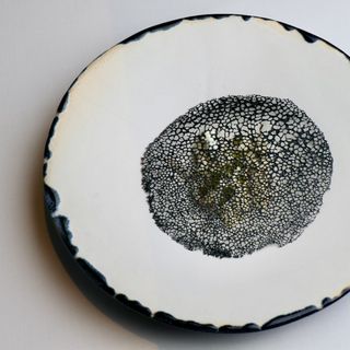 Lienzo - 6
