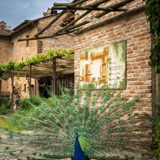Antica Corte Pallavicina - 6