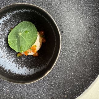 The Fearrington House Restaurant - 16