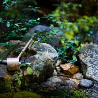 Gion Matayoshi - 4
