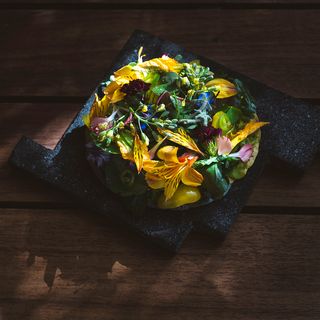 Tierra del Sol - 8