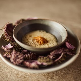 DILL - 12