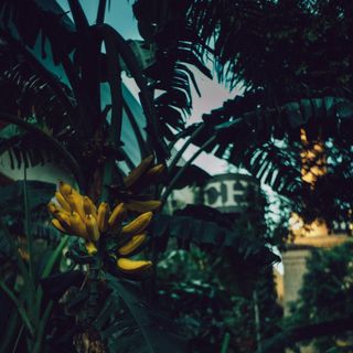 Chuí - 16
