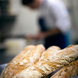 Le Lièvre Gourmand - 1
