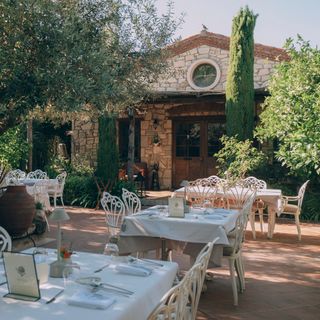 Vino Locale - 4
