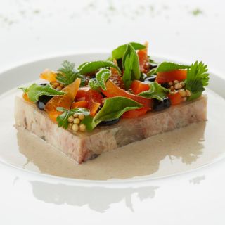 Vrijmoed - 11