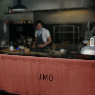 UMO Alex Vall - 7