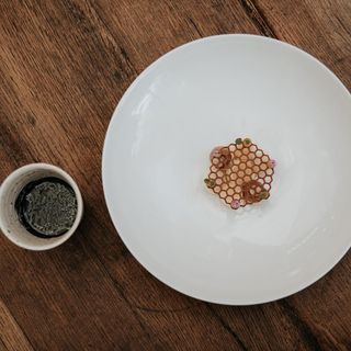 Le Petit Léon - 20