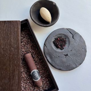 Chaga - 1