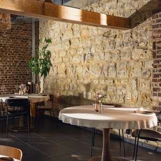 Restaurant Darwin - 4