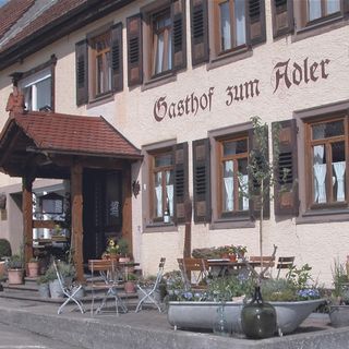 Adler - 4