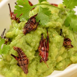 Axiote Cocina de Mexico - 7