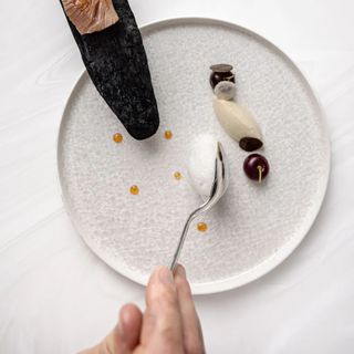 Au Crocodile - 9