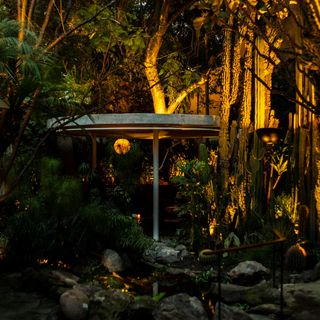 Botánico - 1