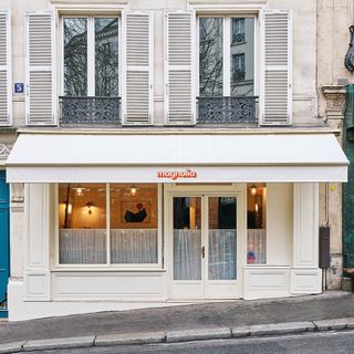 Magnolia - 6