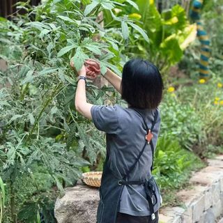 Ye Long Jing - 9