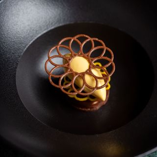 à terre - 10