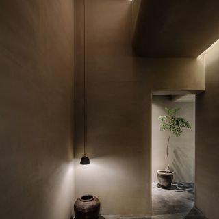 Qing Tao - 5