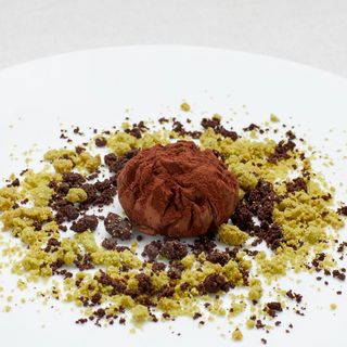Silene - 1