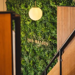 The Walrus - 2