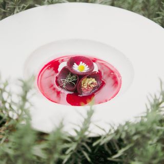 Zonda Cocina de Paisaje - 28