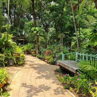 Suan Thip - 5