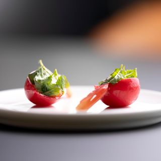 Osteria Arborina - 4