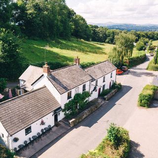 Black Bear Inn - 1