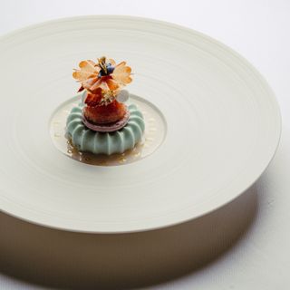 Wild Atelier - 24