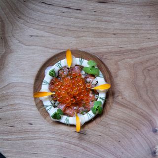 Finnjävel Salonki - 2