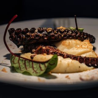 Ajo Negro - Mar de Tapas - 5
