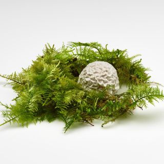 Mugaritz - 12