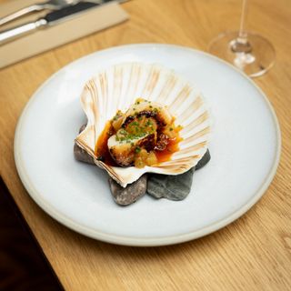 Fish Shop - 20