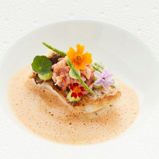 Cocotte - 15