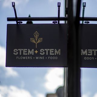 Stem + Stem - 1