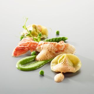 Bären - 10